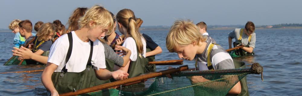 Elever i Vadehavet på faghus fiskeri