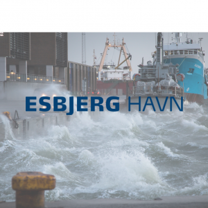 Esbjerg havn undervisningsforløb