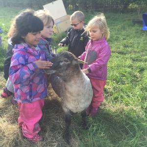 Børn rører ved et får