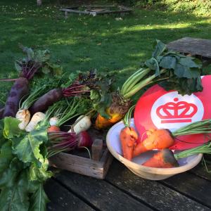 Økologimærke og friske øko-grøntsager