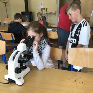 Elev undersøger celler med mikroskop