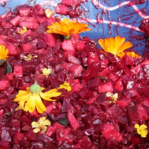Rødbedesalat med blomst af morgenfrue