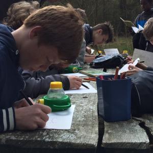 Elever studerer smådyr fra søen